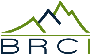 BRCI Logo